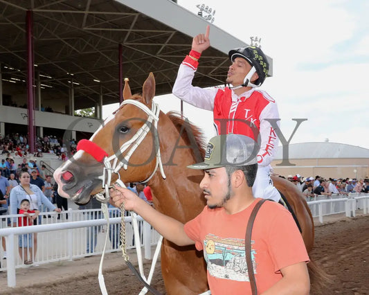 Dashing Tres - Rainbow Quarter Horse Derby G1 07-27-24 R11 The Downs At Albuquerque Return Shot 2