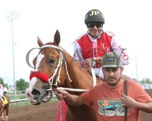Dashing Tres - Rainbow Quarter Horse Derby G1 07-27-24 R11 The Downs At Albuquerque Return Shot 4