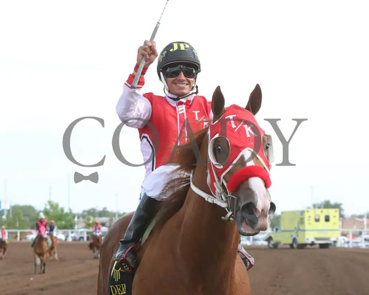 Dashing Tres - Rainbow Quarter Horse Derby G1 07-27-24 R11 The Downs At Albuquerque Return Shot 5