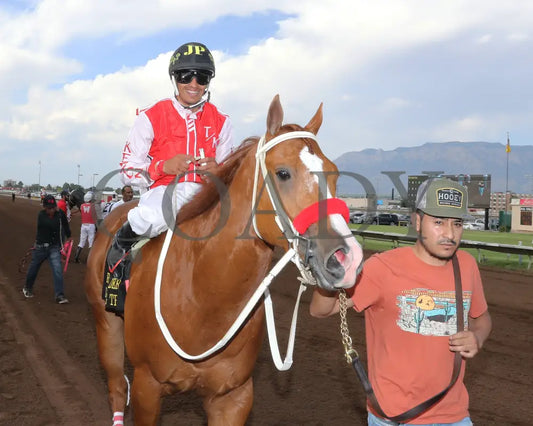 Dashing Tres - Rainbow Quarter Horse Derby G1 07-27-24 R11 The Downs At Albuquerque Return Shot
