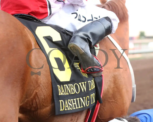Dashing Tres - Rainbow Quarter Horse Derby G1 07-27-24 R11 The Downs At Albuquerque Saddle