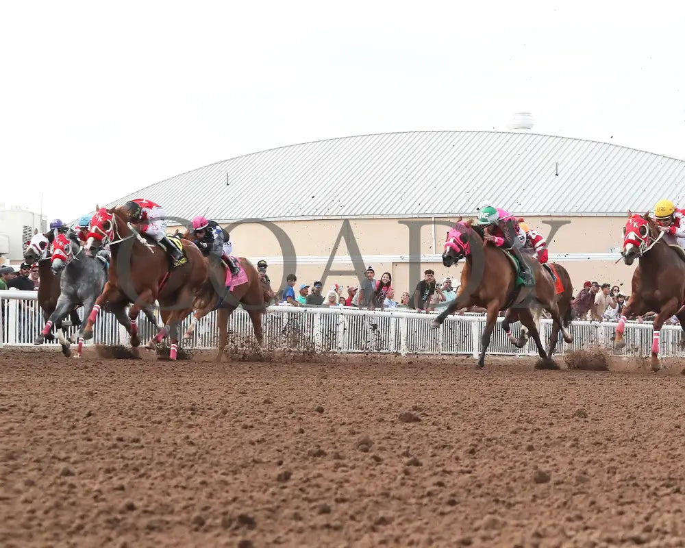 Dashing Tres - Rainbow Quarter Horse Derby G1 07-27-24 R11 The Downs At Albuquerque Under Rail