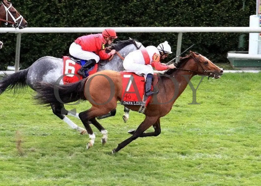 Data Link - 041312 Race 09 Aerial Keeneland
