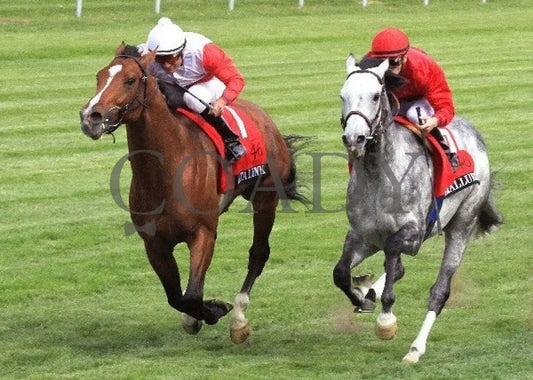 Data Link - 041312 Race 09 Inside Fin Keeneland