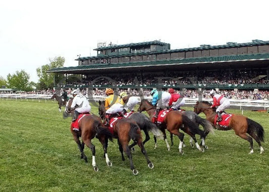 Data Link - 041312 Race 09 Start Keeneland