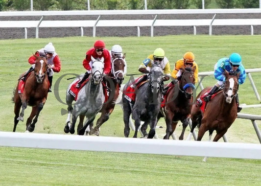 Data Link - 041312 Race 09 Turn Keeneland