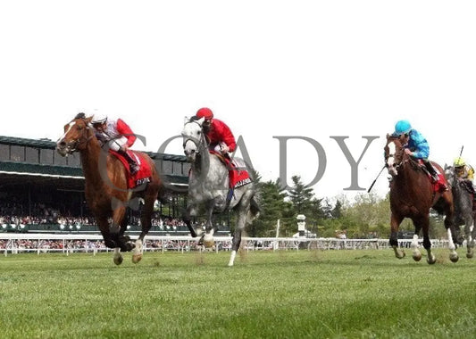 Data Link - 041312 Race 09 Under Rail Keeneland