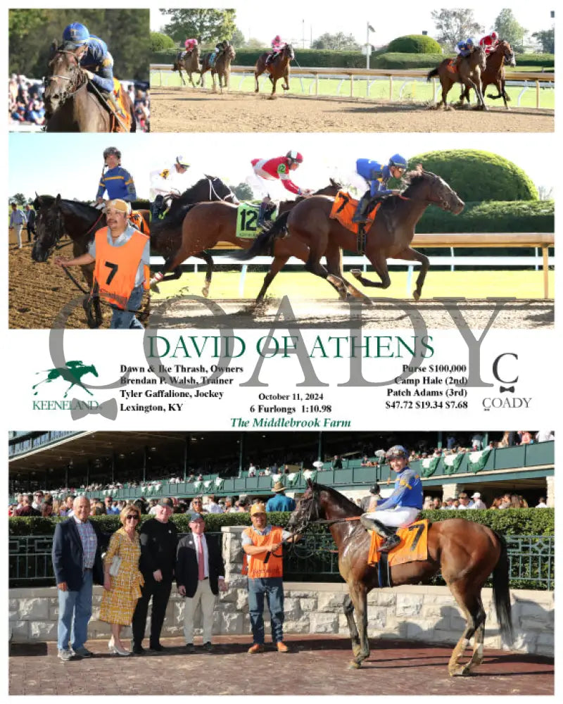 David Of Athens - 101124 Race 08 Kee Keeneland