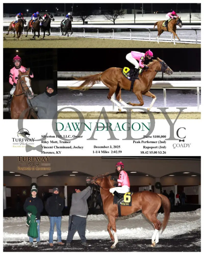 DAWN DRAGON - 12-03-25 - R05 - TP Turfway Park