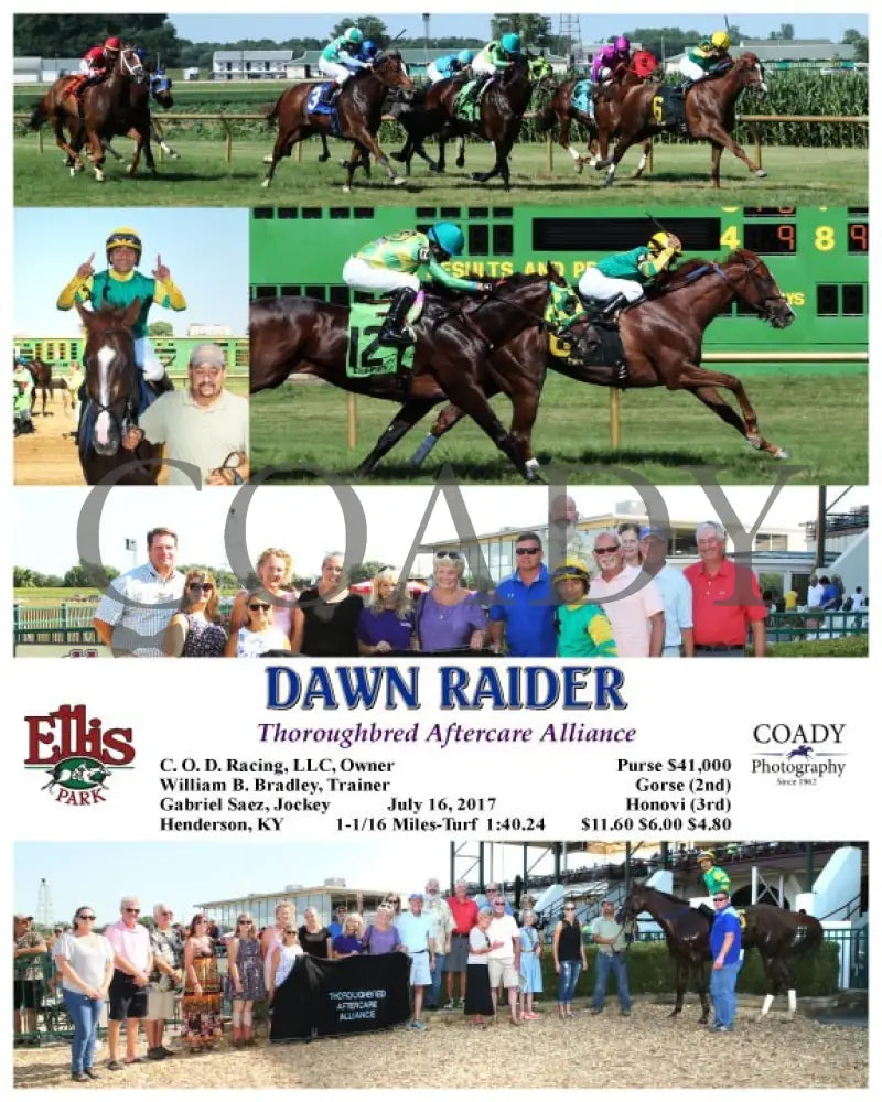 Dawn Raider - 071617 Race 08 Elp Ellis Park