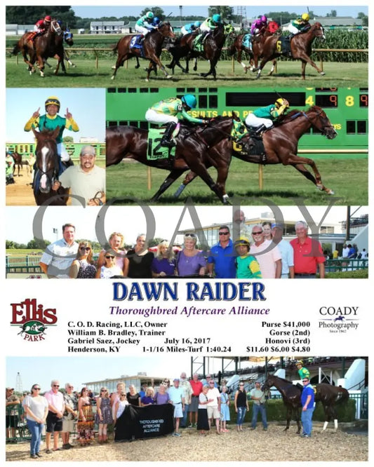 Dawn Raider - 071617 Race 08 Elp Ellis Park
