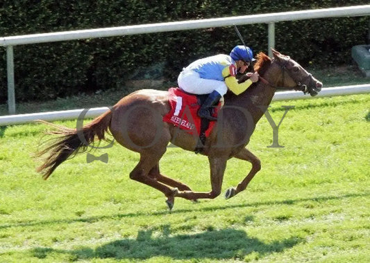 Dayatthespa - 041912 Race 08 Aerial Keeneland