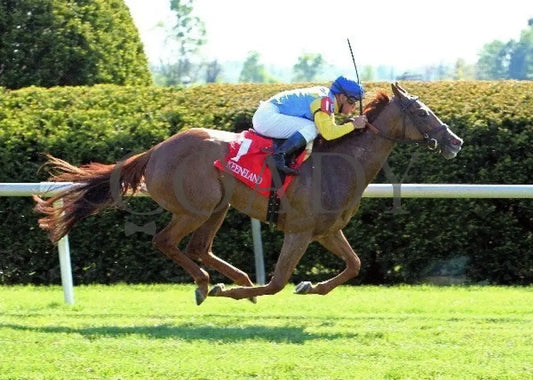 Dayatthespa - 041912 Race 08 Fin Keeneland