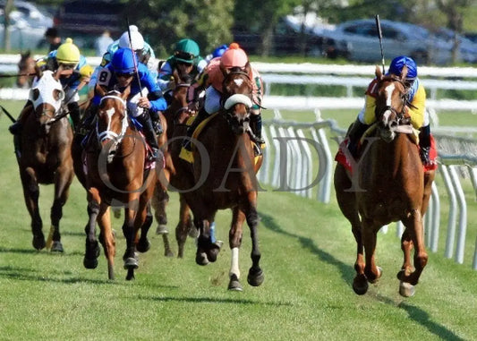 Dayatthespa - 041912 Race 08 Head On Keeneland