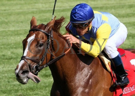 Dayatthespa - 041912 Race 08 Inside Fin Keeneland