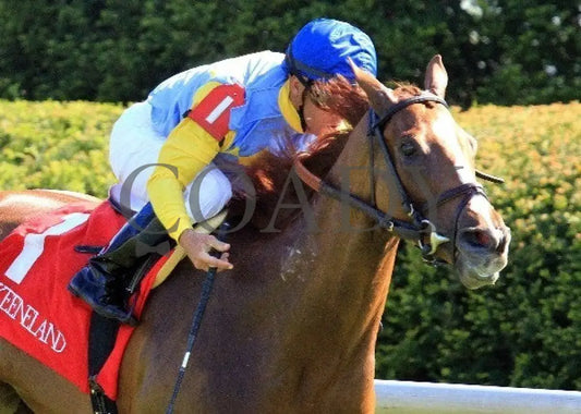 Dayatthespa - 041912 Race 08 Tightfin Keeneland