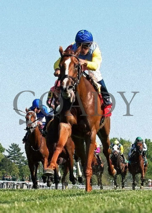 Dayatthespa - 041912 Race 08 Under Rail Keeneland