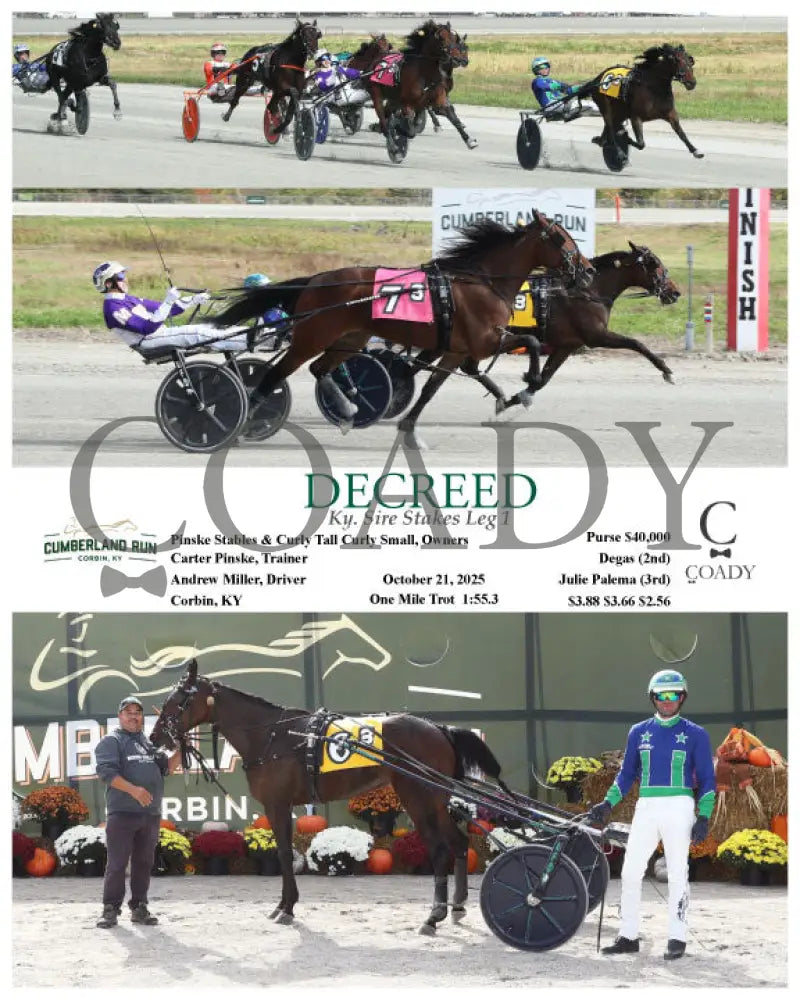 DECREED - Ky. Sire Stakes Leg 1 - 10-21-25 - R03 - CMR Presque Isle Downs
