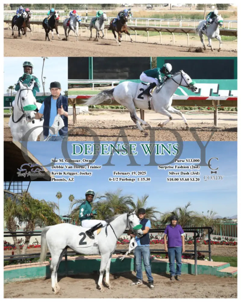 DEFENSE WINS - 02-19-25 - R05 - TUP Turf Paradise