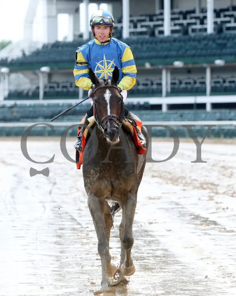 Delahaye - Old Forester Mint Julep G3 48Th Running 06-02-24 R07 Cd- Come Back 01 Churchill Downs