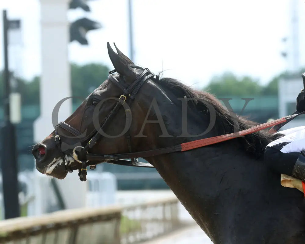 Delahaye - Old Forester Mint Julep G3 48Th Running 06-02-24 R07 Cd- Come Back 02 Churchill Downs