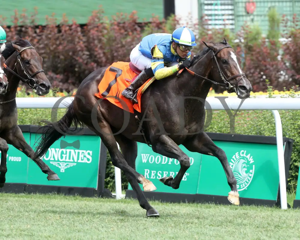Delahaye - Old Forester Mint Julep G3 48Th Running 06-02-24 R07 Cd Finish 02 Churchill Downs