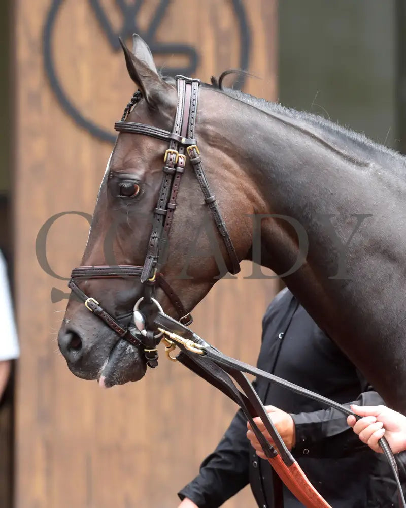 Delahaye - Old Forester Mint Julep G3 48Th Running 06-02-24 R07 Cd Paddock 01 Churchill Downs