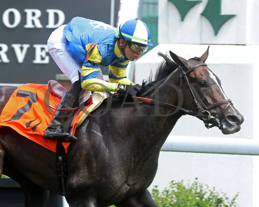 Delahaye - Old Forester Mint Julep G3 48Th Running 06-02-24 R07 Cd Tight Finish 02 Churchill Downs