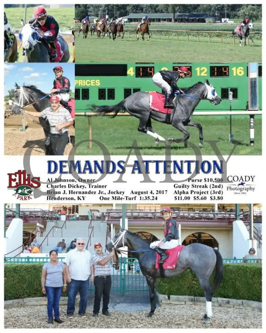 Demands Attention - 080417 Race 08 Elp Ellis Park