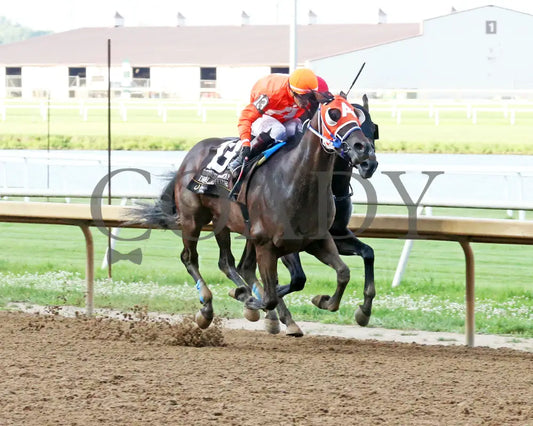 Demolisher - Governor’s Handicap 20Th Running 07-31-24 R10 Horseshoe Indiana Finish 02 Sammantha