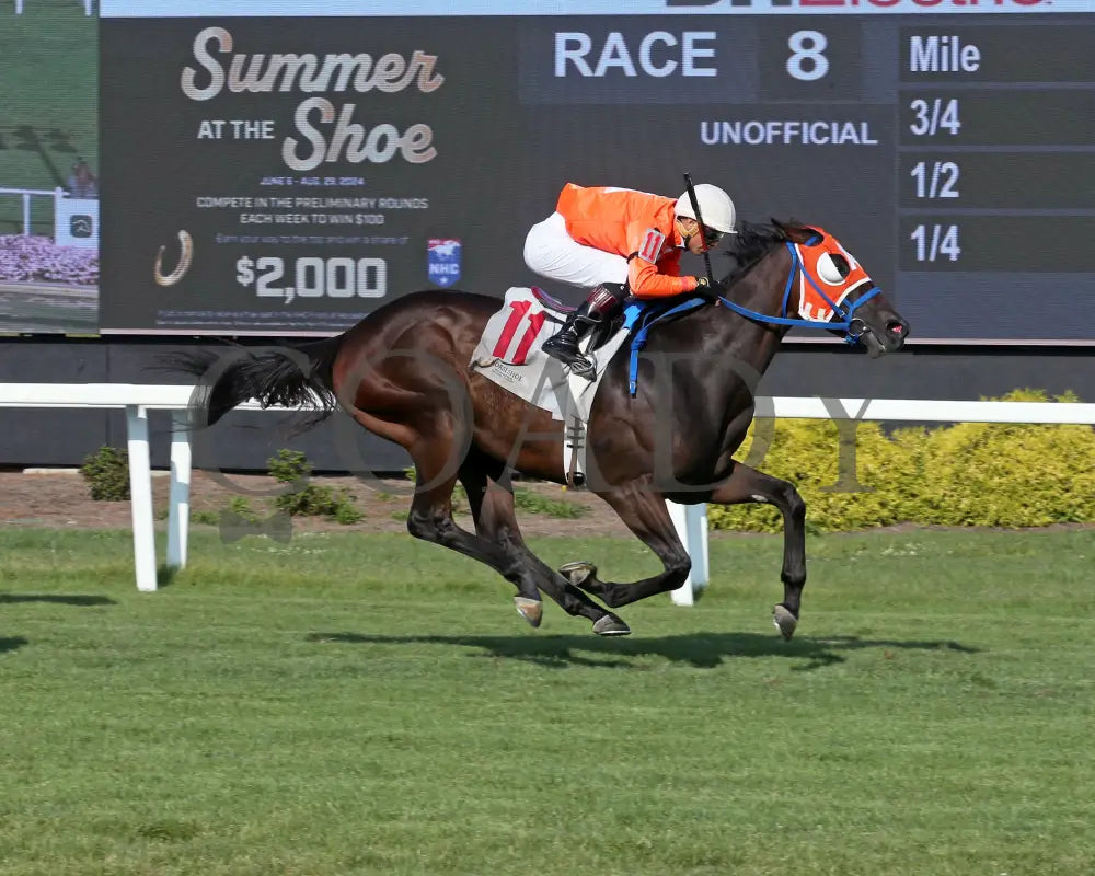 Demolisher - The Bucchero 19Th Running 08-21-24 R08 Horseshoe Indiana Finish 01 Sammantha Pagels