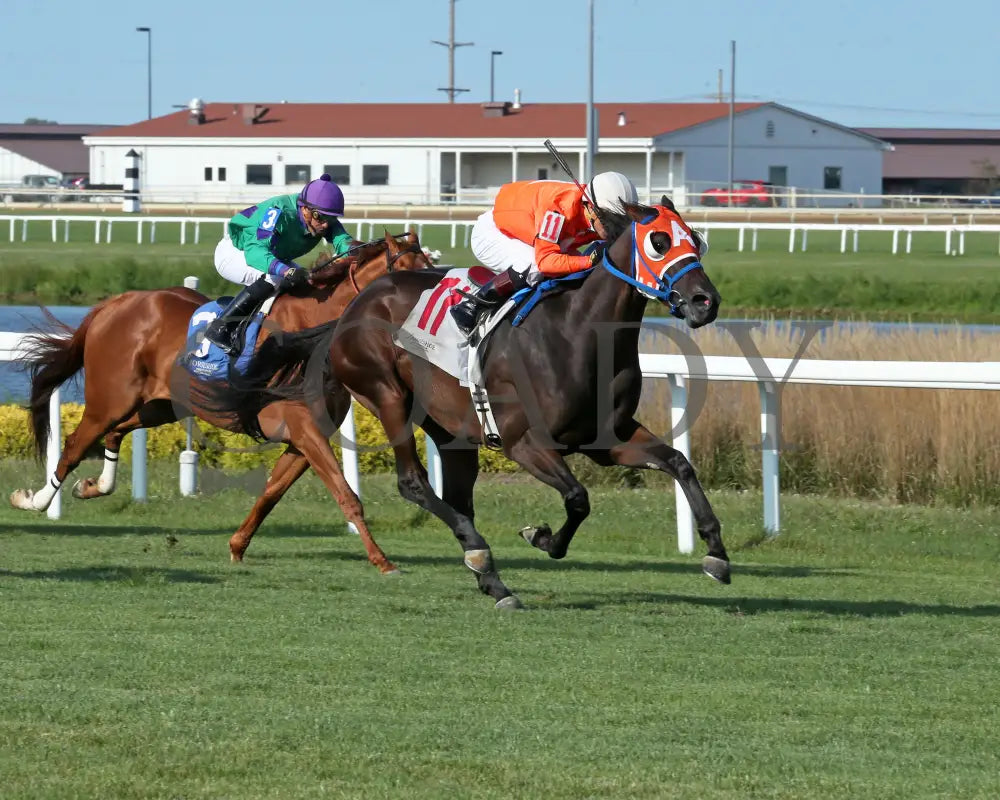 Demolisher - The Bucchero 19Th Running 08-21-24 R08 Horseshoe Indiana Finish 02 Sammantha Pagels
