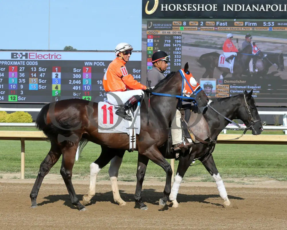 Demolisher - The Bucchero 19Th Running 08-21-24 R08 Horseshoe Indiana Post Parade 01 Sammantha