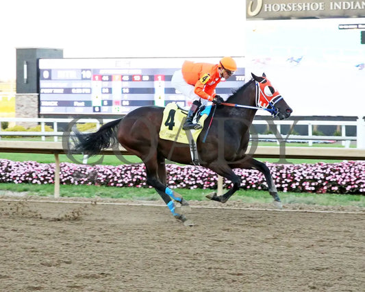Demolisher - To Much Coffee 26Th Running 10-02-24 R10 Horseshoe Indiana Finish 01 Sammantha Pagels