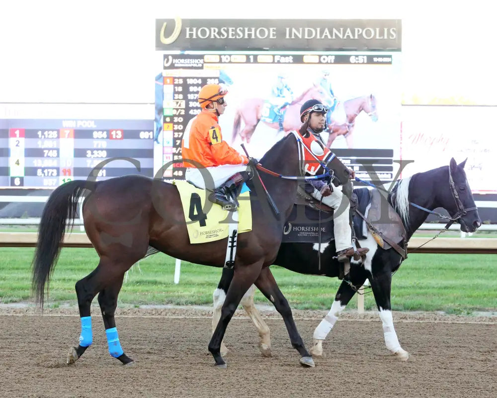 Demolisher - To Much Coffee 26Th Running 10-02-24 R10 Horseshoe Indiana Post Parade 01 Sammantha