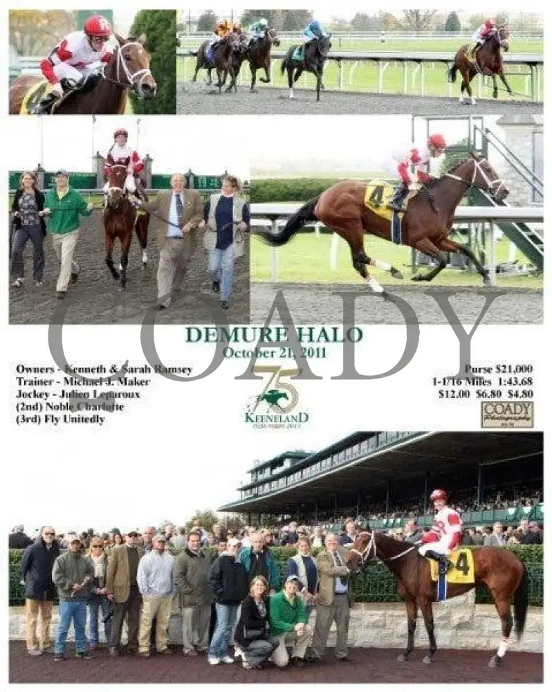 Demure Halo - 102111 Keeneland