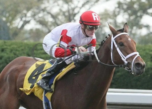 Demure Halo - 2- 102111 Race 05 Keeneland