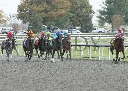 Demure Halo - 3- 102111 Race 05 Keeneland