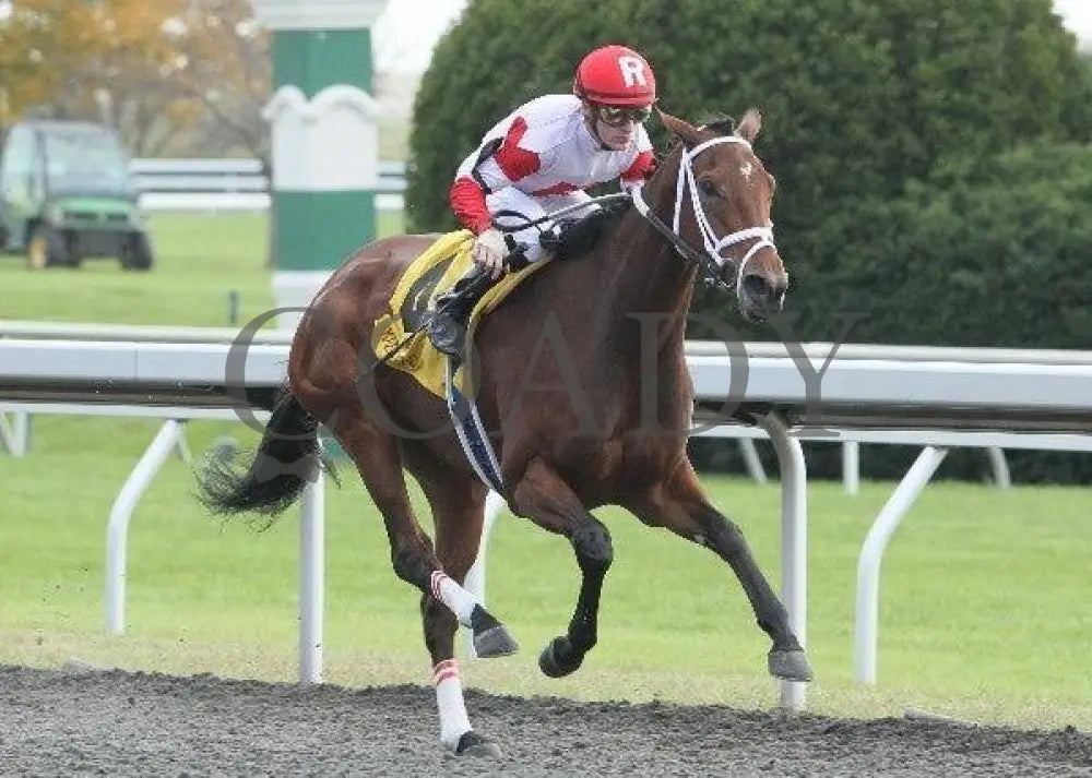 Demure Halo - 4- 102111 Race 05 Keeneland