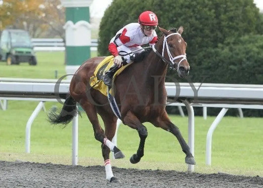 Demure Halo - 4- 102111 Race 05 Keeneland