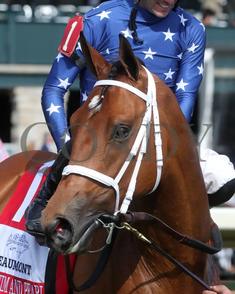 Denim And Pearls - The Middleground Capital Beaumont G2 04 - 07 - 24 R08 Kee Head Shot 01 Keeneland