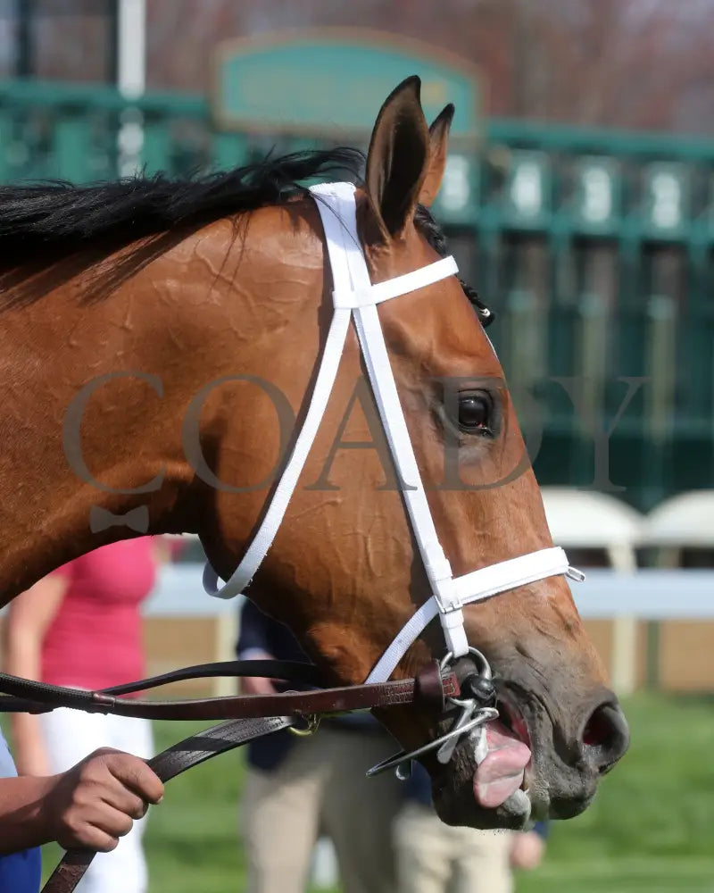 Denim And Pearls - The Middleground Capital Beaumont G2 04 - 07 - 24 R08 Kee Head Shot 02 Keeneland