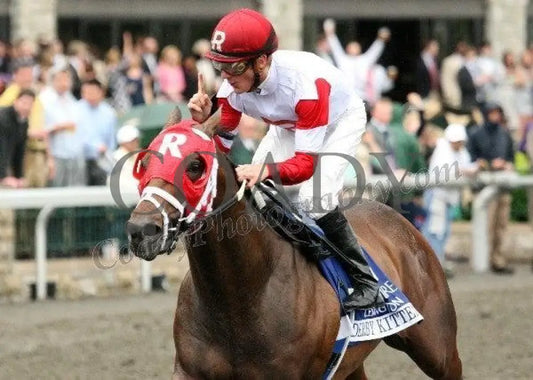 Derby Kitten - The Coolmore Lexington Keeneland