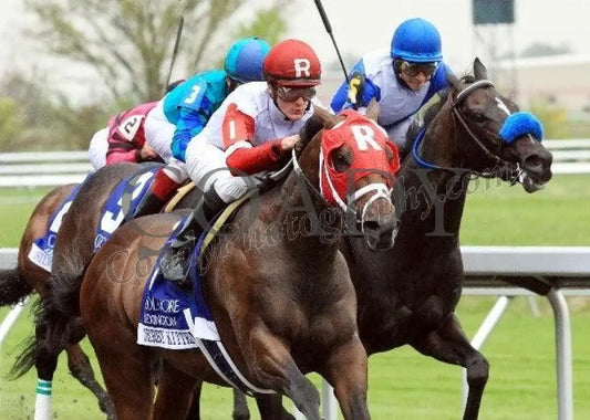Derby Kitten - The Coolmore Lexington Keeneland