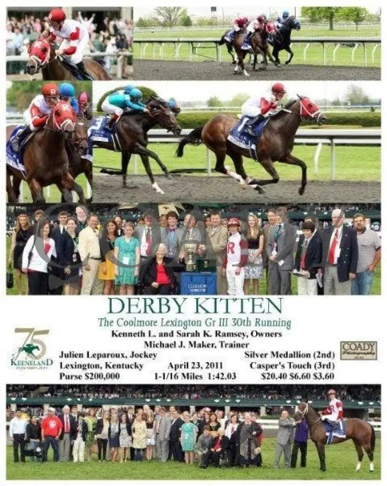 Derby Kitten - The Coolmore Lexington Keeneland