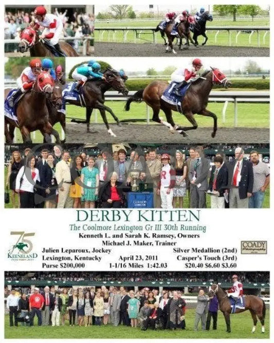 Derby Kitten - The Coolmore Lexington Keeneland