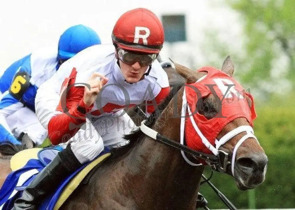 Derby Kitten - The Coolmore Lexington Keeneland