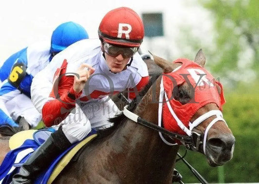 Derby Kitten - The Coolmore Lexington Keeneland