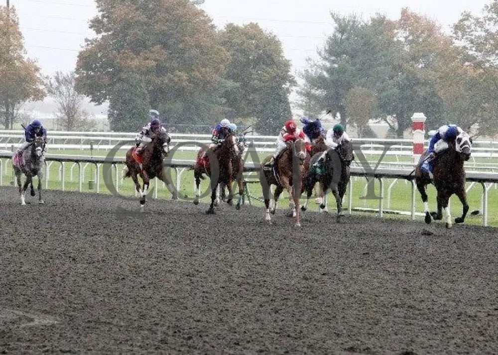 Derivative - 3 101911 Race 02 Keeneland