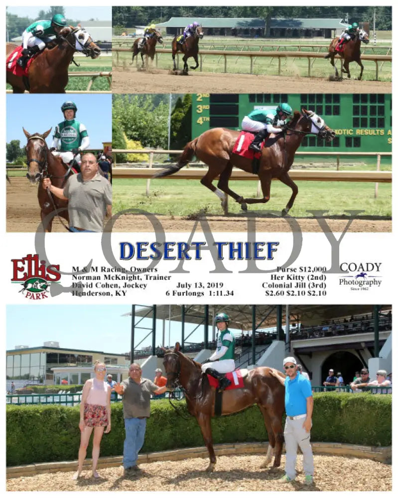 Desert Thief - 07-13-19 R02 Elp Ellis Park